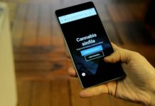 Uruguay: Aplicación acorta filas para compra de marihuana en farmacias Uruguay: Aplicación acorta filas para compra de marihuana en farmacias