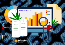 Alianza para desarrollar investigación de cannabis basada en Blockchain Alianza para desarrollar investigación de cannabis basada en Blockchain