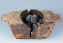 Investigadores descubren que pueblo antiguo en China utilizaba marihuana para sus rituales Investigadores descubren que pueblo antiguo en China utilizaba marihuana para sus rituales