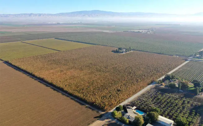 El valor de las plantas superar&iacute;a los 1000 millones de d&oacute;lares (Foto: Facebook/Sheriff Condado Kent)