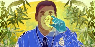 ¿Es seguro y legal viajar con CBD? No siempre. Aquí está lo que puede hacerle tropezar