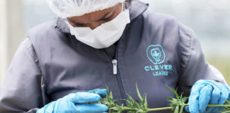 SpaceX enviará a la Estación Espacial Internacional cultivos de cannabis y café en 2020