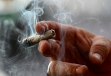 Estados Unidos: Seis claves para entender la legalización de la marihuana de uso recreacional Estados Unidos: Seis claves para entender la legalización de la marihuana de uso recreacional
