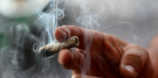 Estados Unidos: Seis claves para entender la legalización de la marihuana de uso recreacional