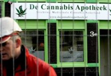 Varios colectivos proponen una ley para regularizar el cannabis medicinal y legalizar el autocultivo y consumo Las farmacias checas empiezan a vender cannabis con fines terapéuticos