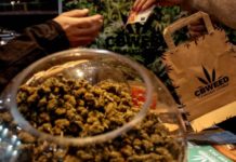 Los alimentos con cannabis llegan a las mesas de los italianos Los alimentos con cannabis llegan a las mesas de los italianos