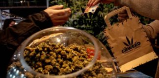 Los alimentos con cannabis llegan a las mesas de los italianos