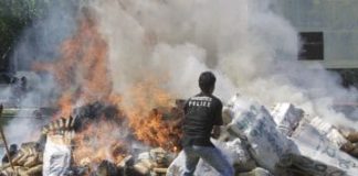 La Policía droga a un pueblo de Indonesia al quemar tres toneladas de marihuana