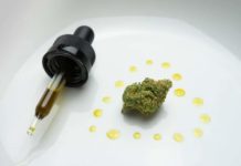 Gobierno de Israel impulsará inversión en cannabis medicinal Que la salud esté contigo