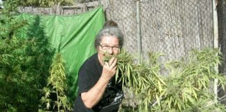 La ‘abuela Marihuana’, condenada a nueve meses de prisión por cultivar cannabis y distribuir marihuana con fines terapéuticos