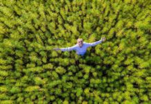 ¿Puede el CBD ayudar en la batalla contra la esquizofrenia? Cómo aumentar la anandamida, la molécula de la felicidad y el equilibrio mental