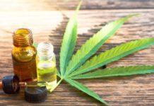 Cannabis medicinal en España: sin regulación, con problemas para investigar y pacientes que se sienten «delincuentes» Cannabis medicinal en España: sin regulación, con problemas para investigar y pacientes que se sienten «delincuentes»