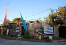 Sociedad Marihuana en el Este: de un museo a la moda oculta del trago champanabis El Museo de la Cannabis en La Barra, Punta del Este