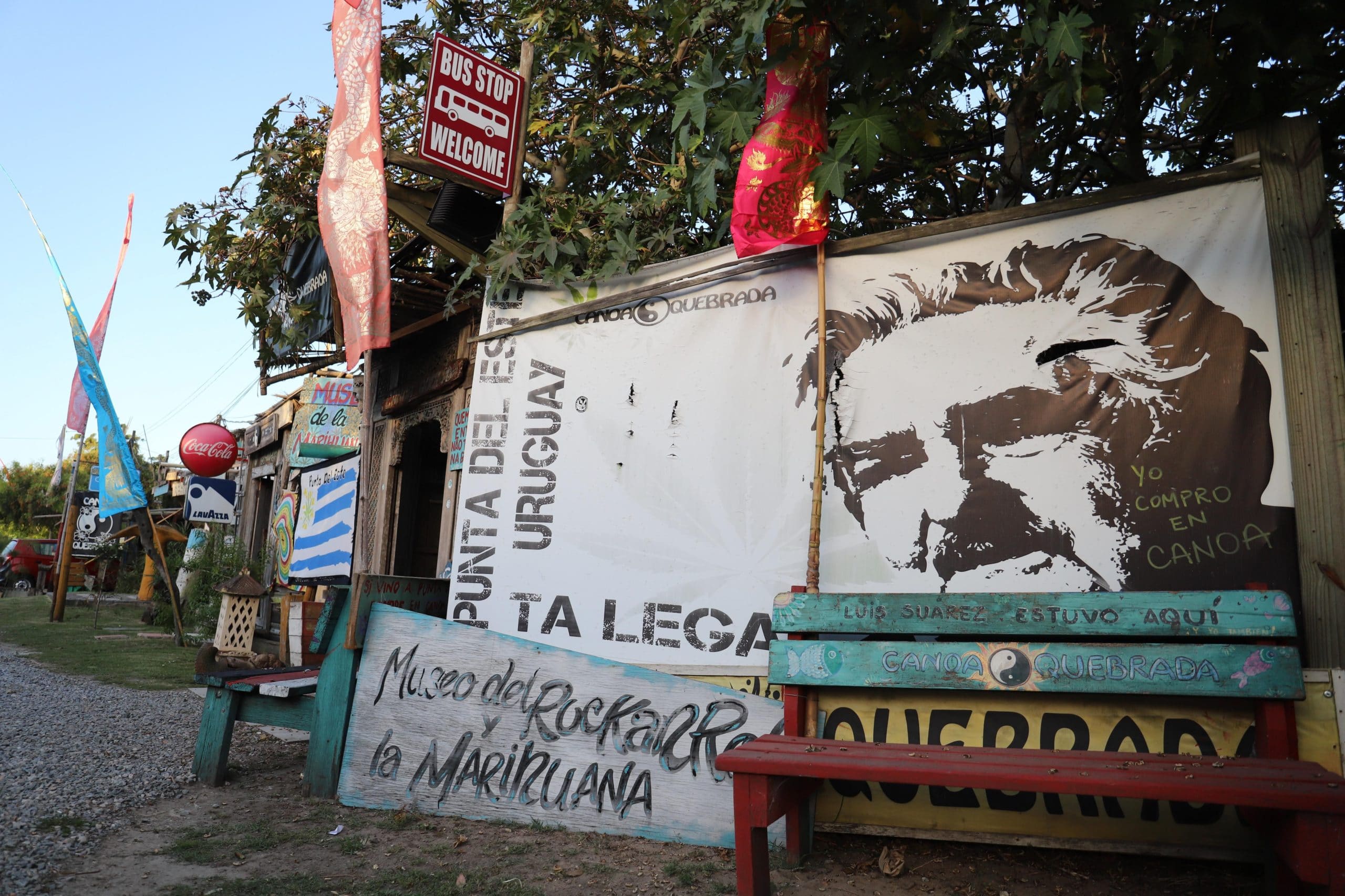 La imagen del Pepe Mujica se repite en Varios rincones del Museo de la Cannabis. Fotos: M Souto.