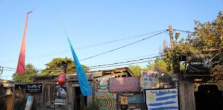 El Museo de la Cannabis en La Barra, Punta del Este