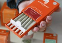 El consumo legal de marihuana sigue costándole el empleo a mucha gente Pre-rolled joints for sale at a California dispensary