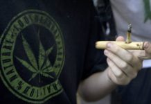La responsable de regular el cannabis en Malta: “Nos hemos inspirado en los clubes de fumadores de España” La responsable de regular el cannabis en Malta: “Nos hemos inspirado en los clubes de fumadores de España”