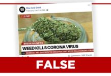 El cannabis &lsquo;mata el coronavirus&rsquo;