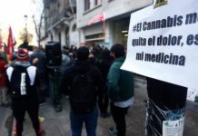 Absuelven a paciente oncológico que cultivaba cannabis con fines medicinales Absuelven a paciente oncológico que cultivaba cannabis con fines medicinales