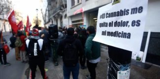 Absuelven a paciente oncológico que cultivaba cannabis con fines medicinales Absuelven a paciente oncológico que cultivaba cannabis con fines medicinales