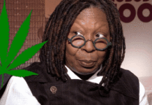 La compañía de cannabis de Whoopi Goldberg cierra La compañía de cannabis de Whoopi Goldberg cierra