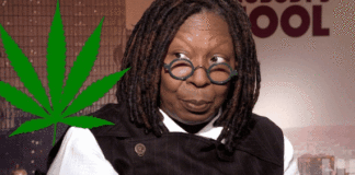 La compañía de cannabis de Whoopi Goldberg cierra