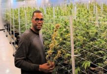 La NFL ya no sancionará la marihuana y dejó sola a la NBA: una historia de excesos, sospechas e hipocresía Cliff Robinson, en una plantación de cannabis
