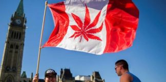 Manifestantes a favor de la legalización del consumo de marihuana en Canadá en 2016. / AFP