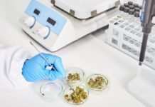 Colombia logra primer producto de cannabis medicinal legal Colombia logra primer producto de cannabis medicinal legal