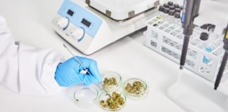 Colombia logra primer producto de cannabis medicinal legal