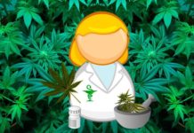 El cannabis, un alivio para los pacientes aún con acceso limitado en Perú Cannabis y enfermedades cronicas