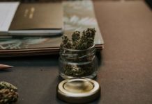 C&oacute;mo la tecnolog&iacute;a est&aacute; transformando la industria del cannabis