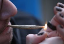 Sustancias ilegales que se consumen en Covid-19: Marihuana, alcohol y caf&eacute;: sustancias que se prefieren en cuarentena