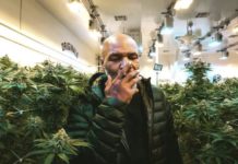 Mike Tyson gana medio millón de dólares al mes con el cannabis Mike Tyson gana medio millón de dólares al mes con el cannabis