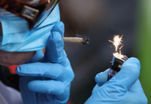 Los californianos optan por la marihuana a domicilio, atrapados por la cuarentena Los californianos optan por la marihuana a domicilio, atrapados por la cuarentena