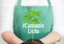 El movimiento cannabico lanza hoy la campaña #CannabisLícito El movimiento cannabico lanza hoy la campaña #CannabisLícito