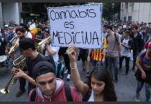 La Marcha de la Marihuana este año será virtual El año pasado hubo gran concurrencia a la marcha.