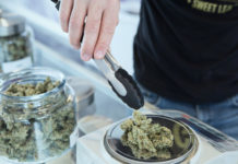 Más consumo, más cultivo: la industria del cannabis ha encontrado una oportunidad en el coronavirus Más consumo, más cultivo: la industria del cannabis ha encontrado una oportunidad en el coronavirus