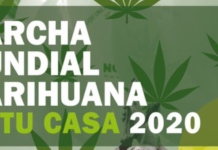 Asociaciones cannábicas piden ser consideradas un servicio esencial y su regularización legal como en otros países Cartel de la manifestación virtual por la legalización total de la marihuana y el cánnabis.