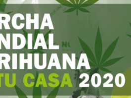 Cartel de la manifestación virtual por la legalización total de la marihuana y el cánnabis.