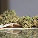 Cannabis: Efectos sobre la salud y la sociedad