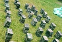 Exlíderes iberoamericanos piden atacar a narcotraficantes y no a consumidores Foto ilustrativa: Droga decomisada en un operativo