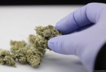 ¿Puede proteger el cannabis contra el coronavirus? ¿Puede proteger el cannabis contra el coronavirus?