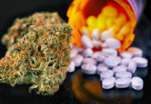 Estudio sugiere que el cannabis podría reducir el uso de opiáceos en pacientes con dolores crónicos Estudio sugiere que el cannabis podría reducir el uso de opiáceos en pacientes con dolores crónicos