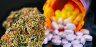 Estudio sugiere que el cannabis podría reducir el uso de opiáceos en pacientes con dolores crónicos
