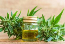Un pueblo argentino permite el cultivo de cannabis para reactivar la economía Un pueblo argentino permite el cultivo de cannabis para reactivar la economía