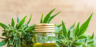Un pueblo argentino permite el cultivo de cannabis para reactivar la economía