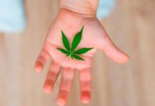 Un bebé británico es el primero en participar en terapia con Cannabis Un bebé británico es el primero en participar en terapia con Cannabis