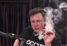 Elon Musk defendi&oacute; el uso de la marihuana con un tuitazo