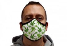 Una empresa francesa crea una mascarilla hecha con cáñamo eficaz contra el covid-19 Una empresa francesa crea una mascarilla hecha con cáñamo eficaz contra el covid-19